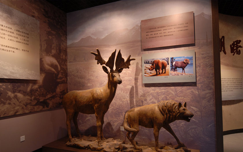 博物館設(shè)計與施工